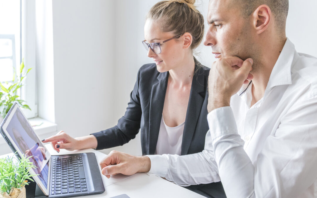 What does IT consultancy cover?
